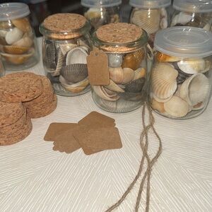 Decorative Seashell Jars with Cork Lids